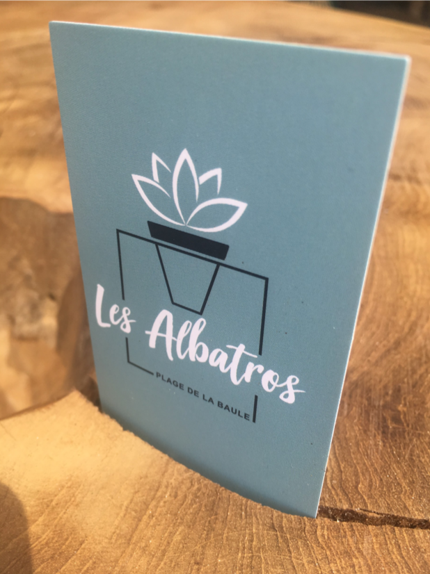 logo les albatros